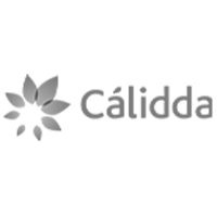 Logo Calidda