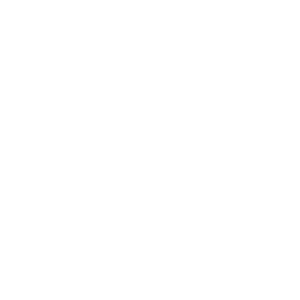 SBD Logo Blanco